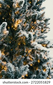 A snow-covered pine tree is adorned with tiny lights, creating a serene and festive atmosphere.