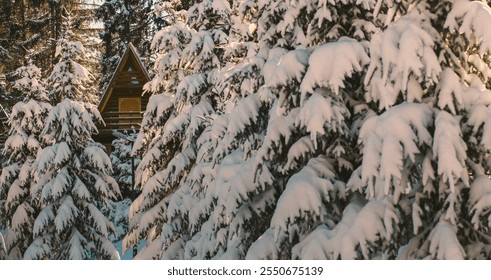 Snow-covered pine trees framing a cozy wooden cabin in a serene winter forest. The warm sunlight highlights the rustic charm of the snowy landscape and wooden architecture - Powered by Shutterstock