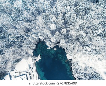 Snow-covered pine trees surrounding a pristine blue lake from above during winter, Blausee Lake, 