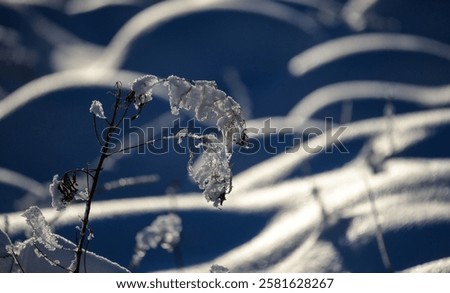 Similar – Image, Stock Photo Landscape on Swabian Alb with meadows, hills and clouds.