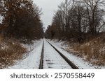 Snow-covered railroad tracks stretch into the distance, flanked by a serene winter forest blanketed in fresh snow. The quiet woods and frosted tracks create a tranquil and picturesque winter scene