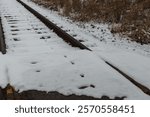 Snow-covered railroad tracks stretch into the distance, flanked by a serene winter forest blanketed in fresh snow. The quiet woods and frosted tracks create a tranquil and picturesque winter scene