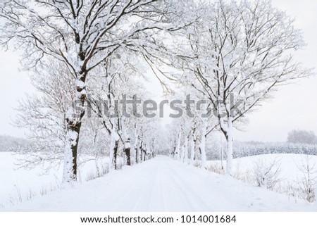 Snow-covered road in a deep winter