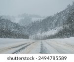 Snow-covered road and forest during a winter blizzard