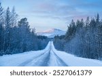 A snow-covered road stretches through a tranquil winter landscape, framed by trees and leading towards distant mountains under soft morning light. Snow-covered road leading to distant mountains