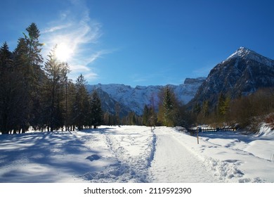 snow-covered road surrounded by pine trees on a sunny winter day in Pertisau