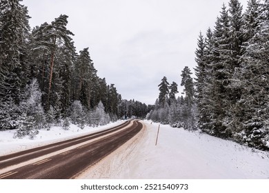 Snow-covered road winding through winter forest with tall evergreen trees. Sweden. - Powered by Shutterstock