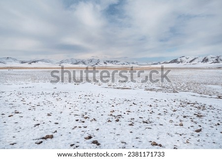 Snow-covered steppe with mountains on the horizon. Mountain pasture covered with snow. Bushes of autumn grass stick out from under the snow.
