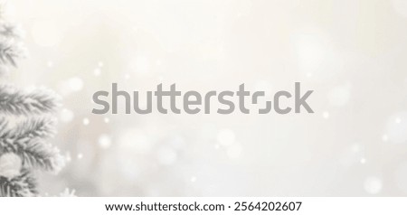 Snow-covered tree branches with a soft winter backdrop.