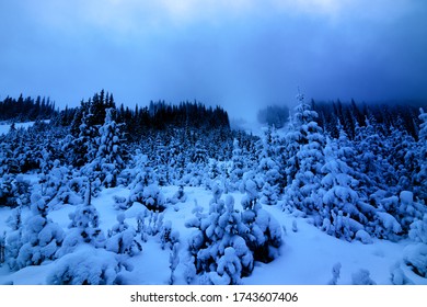 Snow-covered trees at Apex Mountain Resort in Penticton BC - Shutterstock ID 1743607406