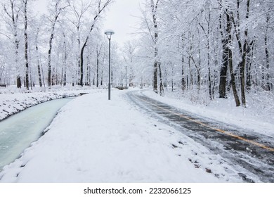 Snow-covered trees and benches in the city park. Bucha City Park, Ukraine. Winter snowy day in the park. - Shutterstock ID 2232066125