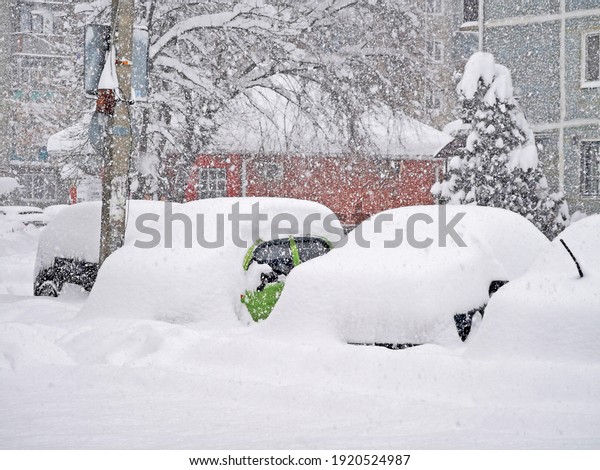 Snow-covered trees,\
bushes, cars and houses in the city. Russia, Belorechensk, winter\
city. Cars littered with\
snow.
