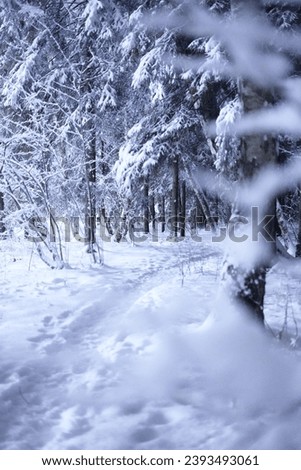 Similar – Winter fog on the footpath