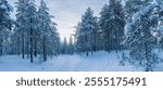 Snow-covered trees lining a tranquil path create a picturesque scene in a winter wonderland, illuminated by the gentle light of dawn or dusk, evoking serene beauty