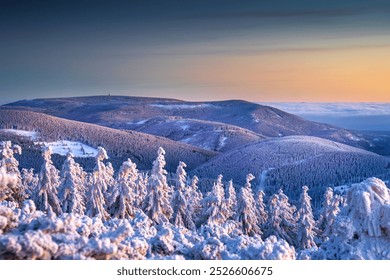 Snow-covered trees overlook a mountain range with a colorful sunset sky. Hills in distance bathed in pink and orange hues create a serene winter landscape. - Powered by Shutterstock