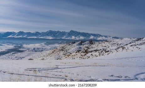 In the snow-covered valley, trampled paths and footprints are visible. Yellow dry grass in snowdrifts. A mountain range against the blue sky. Altai