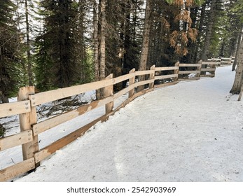 
Snow-covered walkways near Peyto Lake lead through a peaceful, winter landscape. Snow-laden trees border the path, and the lake's turquoise color contrasts beautifully with the white surroundings und - Powered by Shutterstock