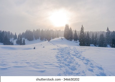  Snow-covered winter mountain path with footprints in pine-forest at sunset - Powered by Shutterstock