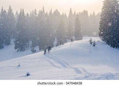 Snow-covered Winter Mountain Path With Hikers And Pine-forest At Sunset Blizzard