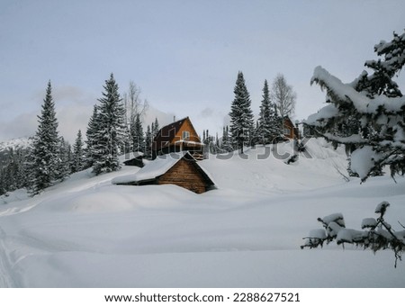 Snow-covered wooden houses in the forest, Siberia, Russia.