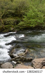 Snowdonia River After Spring Rain