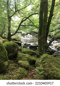 Snowdonia, Wales. Conwy River At Betws-Y-Coed.