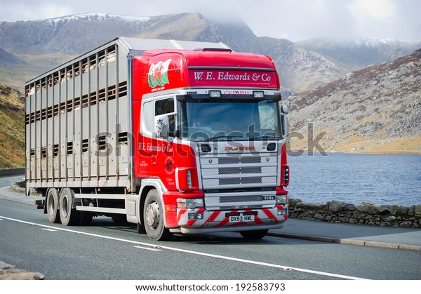 SNOWDONIA-MAR 25: Scania 114L truck on a road on\
Mar. 25, 2014 in Snowdonia, Wales, UK. Scania is a major Swedish\
automotive manufacturer of commercial vehicles - specifically heavy\
trucks and buses.