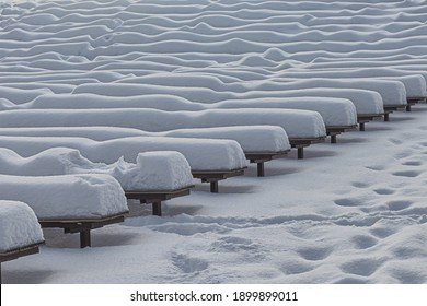 Snowdrifts On The Benches, After A Heavy Snowfall. Winter At An Outdoor Concert Venue In A Large City Park