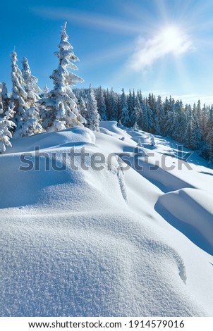 Snowdrifts on winter snow covered mountainside, fir trees on hill top and sun shine in blue sky