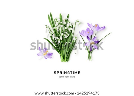 Snowdrop and crocus spring first flowers bouquet isolated on white background. Hello spring. Creative layout. Top view, flat lay. Design element. Springtime greeting card. Easter holiday concept
