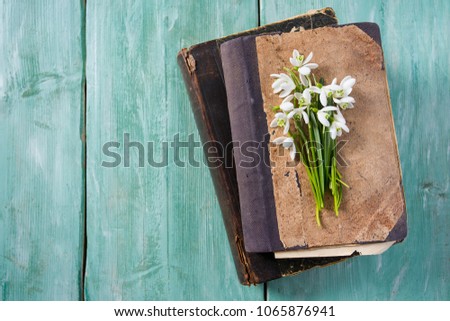 Similar – Image, Stock Photo Blue Nature Macro Photography.Floral Art Design.