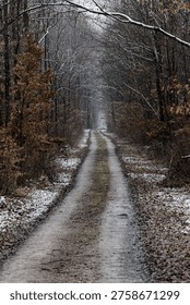 A snow-dusted forest path winds between bare trees along a quiet winter trail, conveying a moody, peaceful atmosphere and long perspective down a narrow dirt road through woodland.