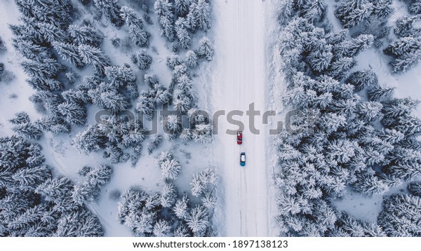 Snowed Forest Aerial View - Blue and Red Car on the\
snowy road