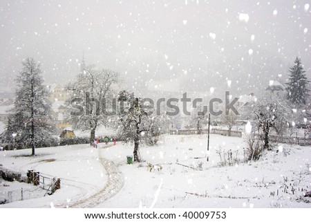 Similar – Image, Stock Photo Snowy Afternoon Walk