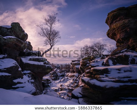 Snowfall at Brimham Rocks, North Yorkshire
