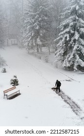 Snowfall In City Park In Winter. Trees Covered Of Snow. Silhouette Of Man Clearing Path From Snow.