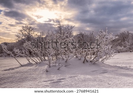 Snowfall completely changes the landscape, altering the volume of objects.