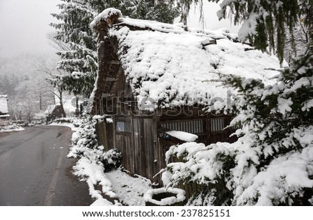 Foto Bild Versteckt II Garten Natur