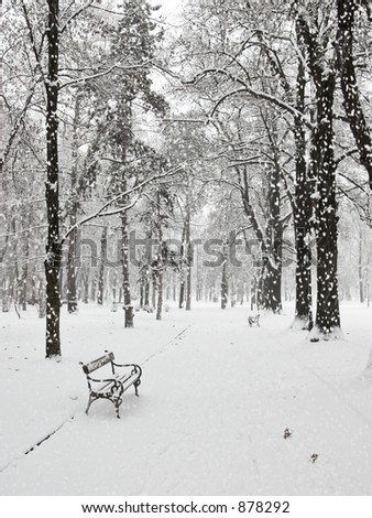 Similar – Image, Stock Photo Hidden Calm Winter Woman