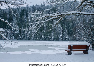 A Snowfall In Victoria BC Left Gowland Todd Park And Inlet In A Snowy, Frozen State.  Trails And Trees Were Covered In Freshly Fallen Snow.  