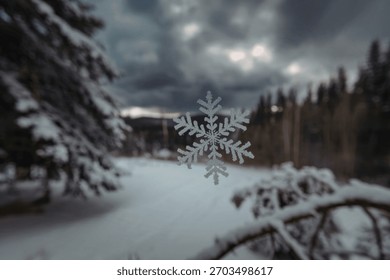 a snowflake with intricate patterns