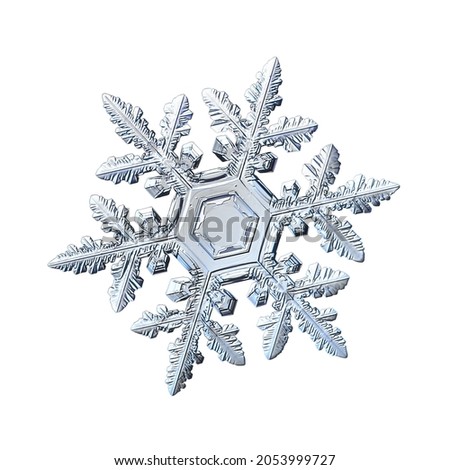 Snowflake isolated on white background. Macro photo of real snow crystal: elegant stellar dendrite with hexagonal symmetry, glossy relief surface, complex inner details and six flat, fragile arms.