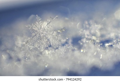 Snowflake Macro Background Stock Photo 794124292 | Shutterstock