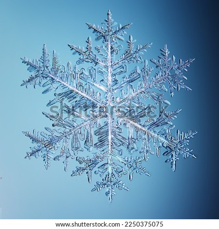 snowflake natural crystal single isolate, transparent abstract photo background