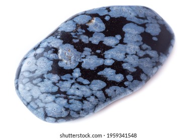 Snowflake Obsidian Hd Stock Images Shutterstock