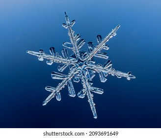 Snowflake on smooth gradient background. Macro photo of real snow crystal on glass surface. This is small snowflake with unusual pattern.