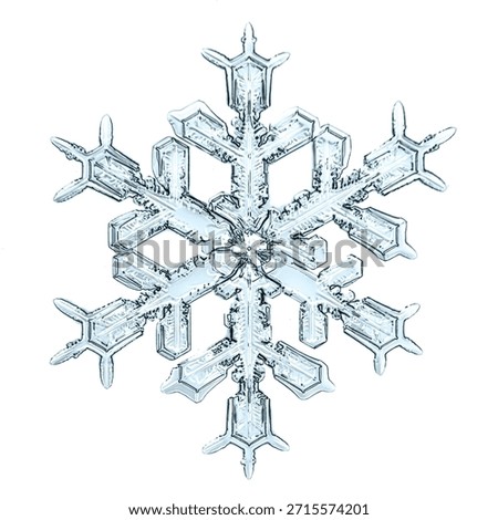 snowflake on a white background, macro photo of a natural Isolated crystal, winter snow