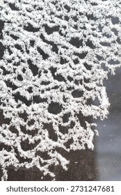 A snowflake pattern is shown on a window. The snowflake pattern is very intricate and detailed