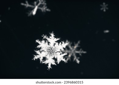 snowflakes close up on a dark background