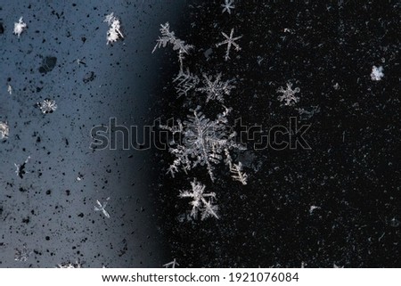 Snowflakes in detail over a multicolored texture surface